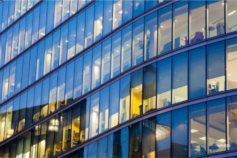 IPO Company, Collection Management System